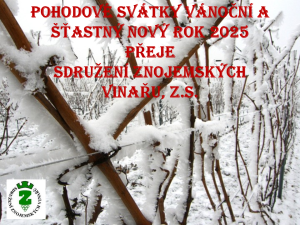 pf-2025-1.png